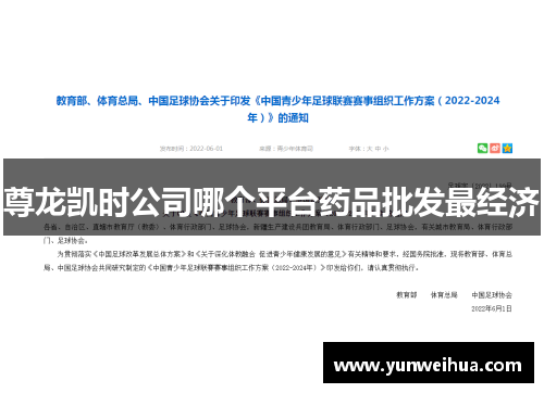 尊龙凯时公司哪个平台药品批发最经济