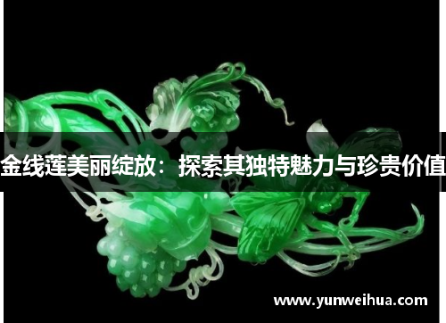 金线莲美丽绽放：探索其独特魅力与珍贵价值